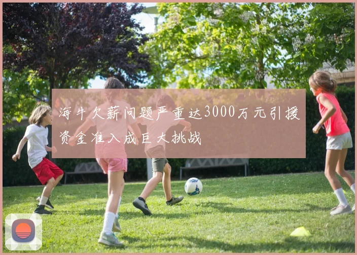 海牛欠薪问题严重达3000万元引援资金准入成巨大挑战