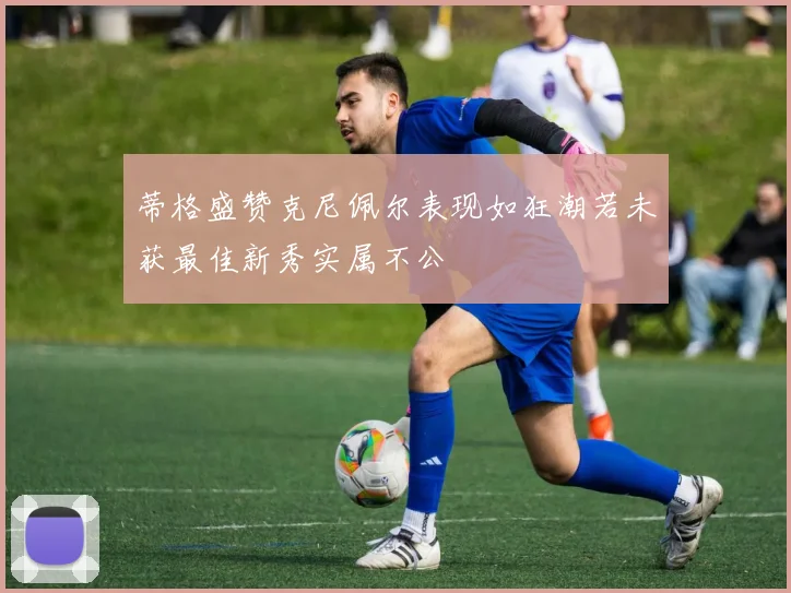 蒂格盛赞克尼佩尔表现如狂潮若未获最佳新秀实属不公