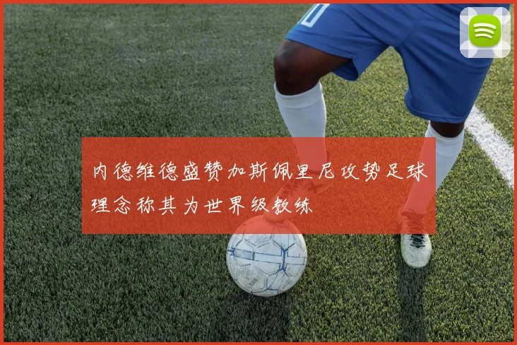内德维德盛赞加斯佩里尼攻势足球理念称其为世界级教练