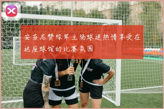 安芬尼赞绿军主场球迷热情享受在这座球馆的比赛氛围