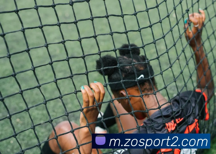 中欧足球官网平台生态图